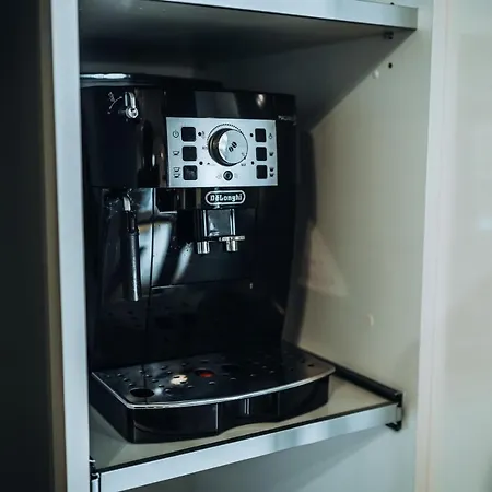 公寓 Vanagupes Terasa 帕兰加