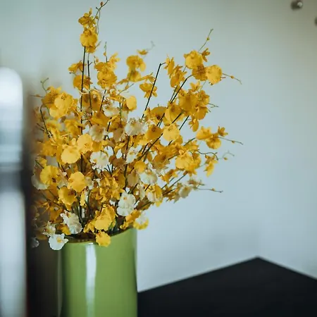 Lägenhet Vanagupes Terasa - Apartamentai Prie Juros Palangoje