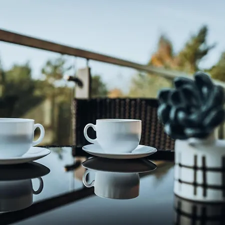 Vanagupes Terasa - Apartamentai Prie Juros Palangoje * Palanga
