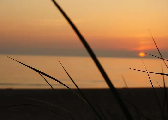 Vanagupes Terasa - Apartamentai Prie Juros Palangoje